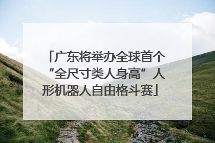 广东将举办全球首个“全尺寸类人身高”人形机器人自由格斗赛